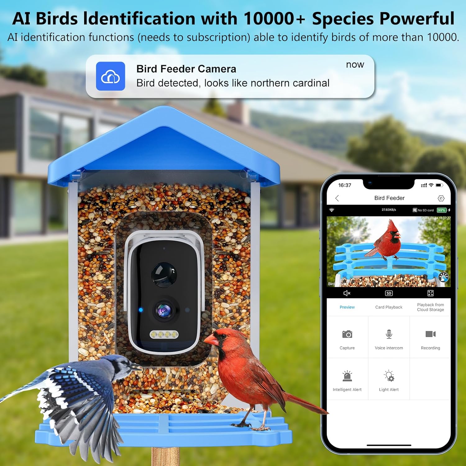 Smart Garden Ai - جهاز تغذية الطيور الذكي مع كاميرا،