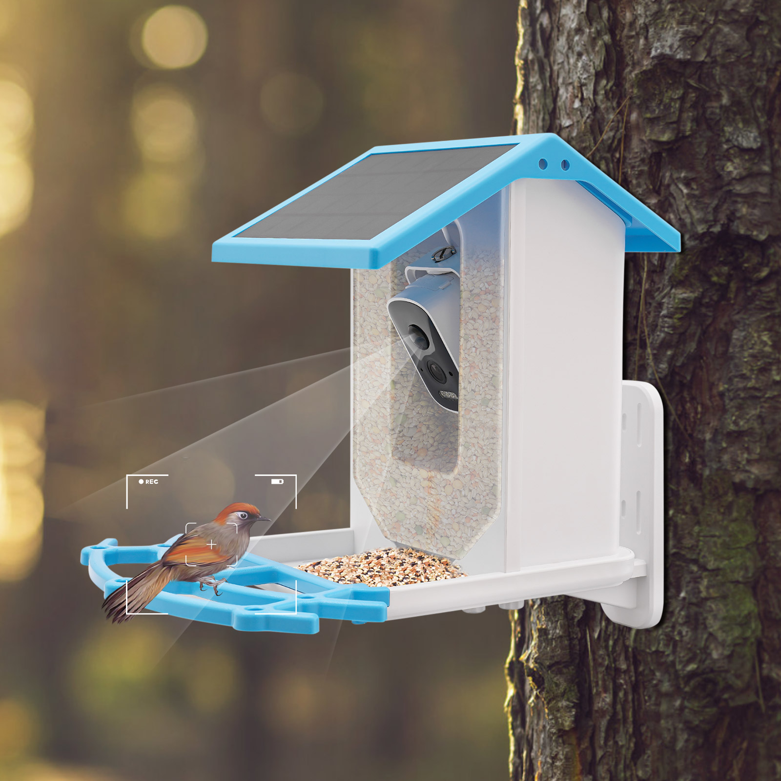 جهاز تغذية الطيور الذكي يعمل ب - مراجعة Smart Garden Ai وسعره