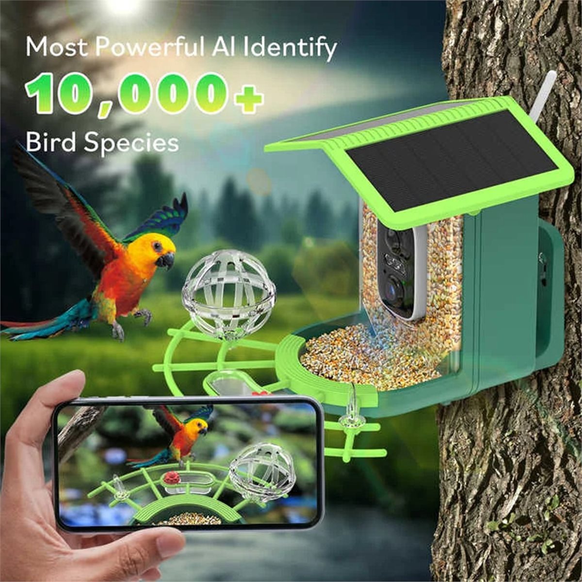 كاميرا ذكية لتغذية الطيور مع م - مراجعة Smart Garden Ai وسعره