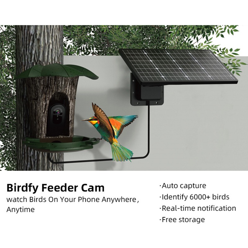 وحدة تغذية الطيور الذكية بالطا - مراجعة Smart Garden Ai وسعره