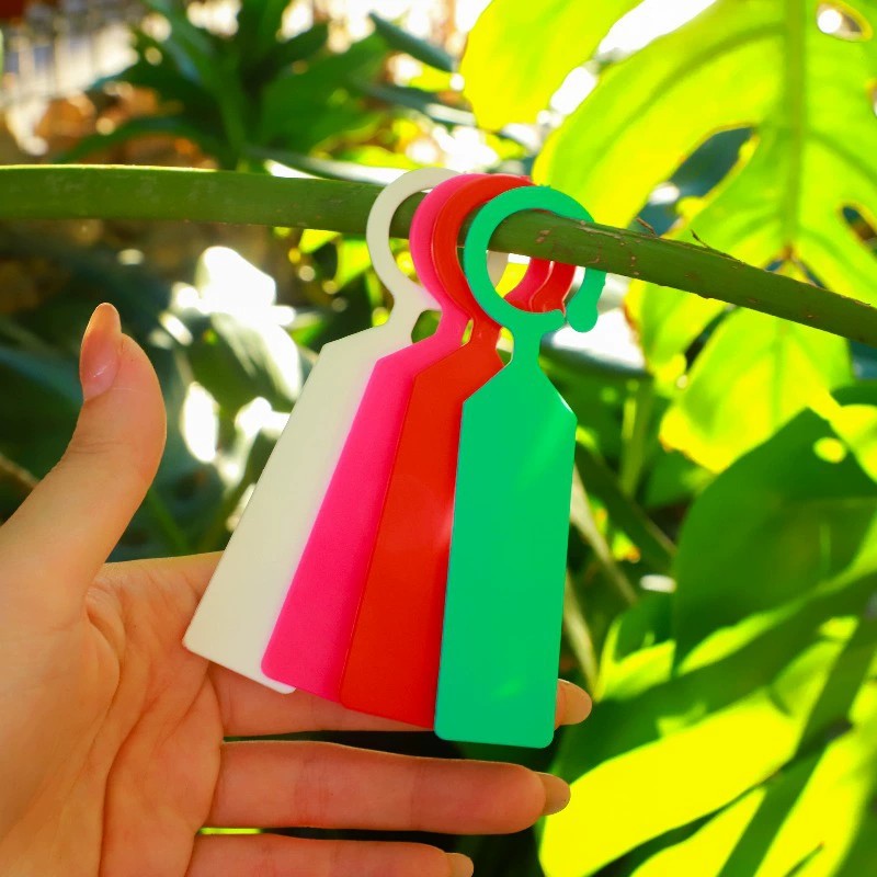 100 قطعة من بطاقات تعريف النبا - مراجعة Garden Journal Planner وسعره
